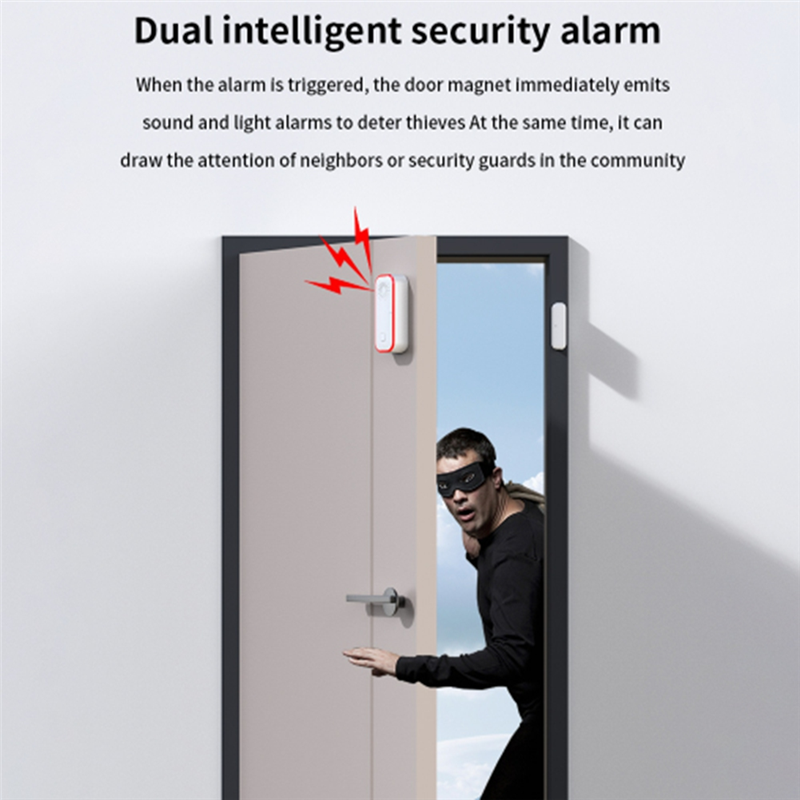 【PROMOTION】Wifi Door Window De - Home Security Siren incelemesi ve fiyatı