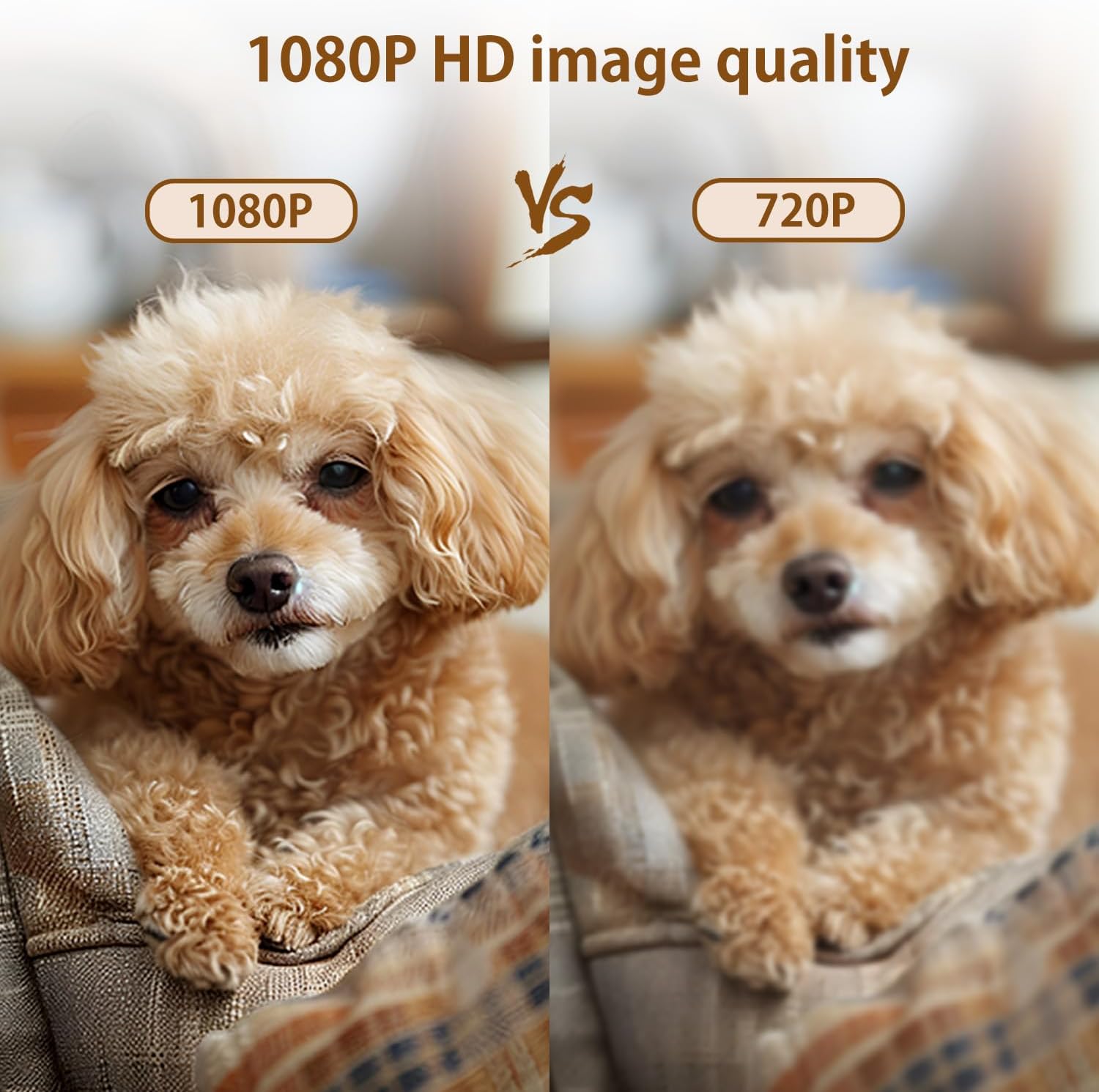 1080P WiFi Hidden Camera, Mini - Home Security Hidden Cameras incelemesi ve fiyatı
